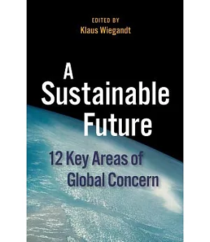 A Sustainable Future: 12 Key Areas of Global Concern