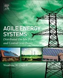 Agile Energy Systems: Global Distributed On-Site and Central Grid Power