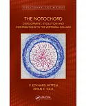 Evolution of the Structure and Function of the Notochord