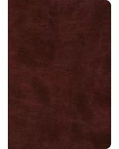 Holy Bible: English Standard Version, Super Giant Print, Trutone, Burgundy - With Ribbon Marker
