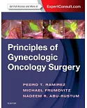 Principles of Gynecologic Oncology Surgery