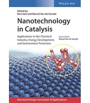Nanotechnology in Catalysis: Applications in the Chemical Industry, Energy Development, and Environment Protection