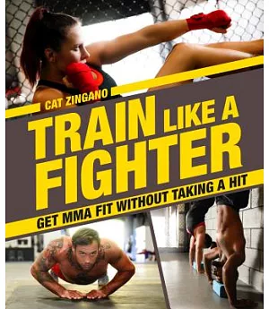 Train Like a Fighter