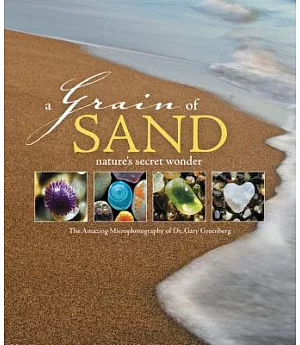 A Grain of Sand: Nature’s Secret Wonder