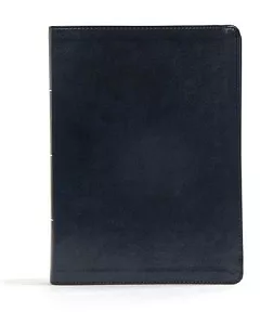 Holy Bible: Csb Worldview Study Bible, Navy, Leathertouch