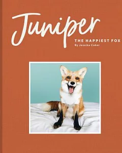 Juniper - the Happiest Fox