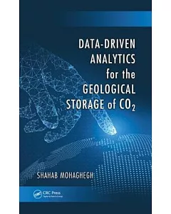 Data-driven Analytics for the Geological Storage of Co2
