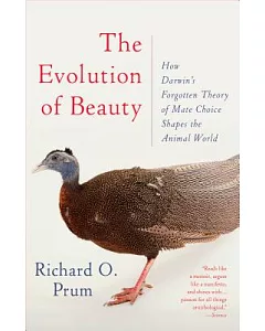 The Evolution of Beauty: How Darwin’s Forgotten Theory of Mate Choice Shapes the Animal World - and Us