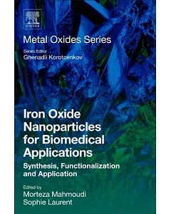 Iron Oxide Nanoparticles for Biomedical Applications: Synthesis, Functionalization and Application