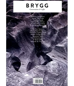 BRYGG vol.5 2015 雙封面隨機出