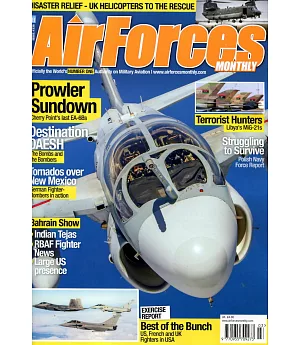 AirForces MONTHLY 第336期 3月號/2016