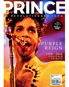 Mirror COLLECTION： PRINCE