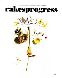 rakes progress Vol.8