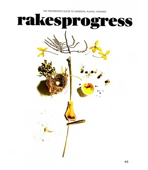 rakes progress Vol.8