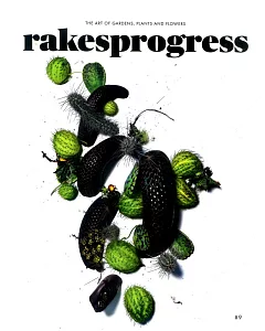 rakes progress Vol.9
