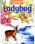 Ladybug 11-12月號/2020