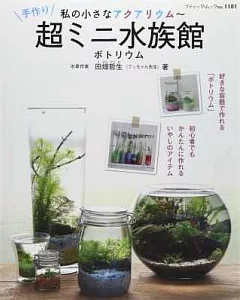 趣味打造迷你小巧水族箱空間實例集