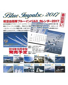 航空自衛隊Blue Impulse 2017年月曆