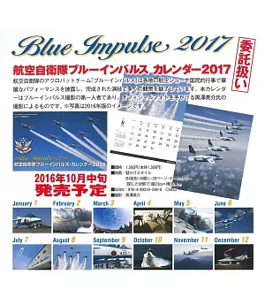 航空自衛隊Blue Impulse 2017年月曆