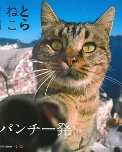 岩合光昭攝影寫真集：虎斑色貓咪