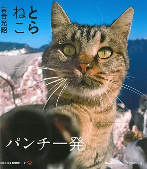 岩合光昭攝影寫真集：虎斑色貓咪