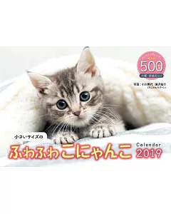 小巧可愛貓咪2019年月曆