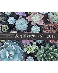 每日！多肉植物2019年月曆