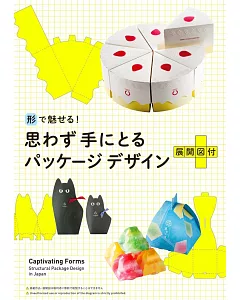 魅力紙盒造型創意設計作品實例集