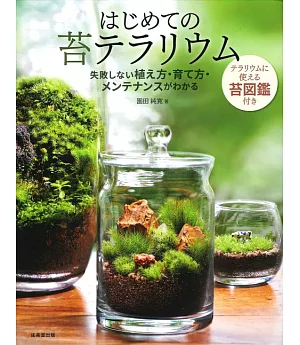 初學小巧玻璃容器栽種蘚苔盆栽實例集