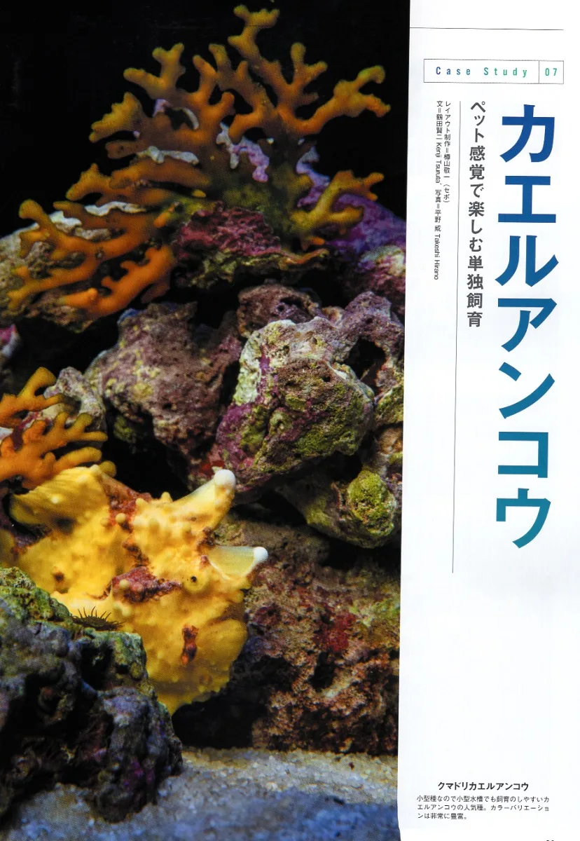 海水魚飼養迷情報專集vol 31 買書網