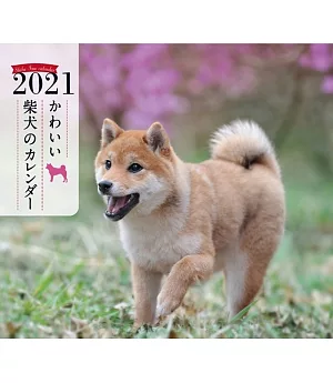 可愛柴犬迷你2021年月曆