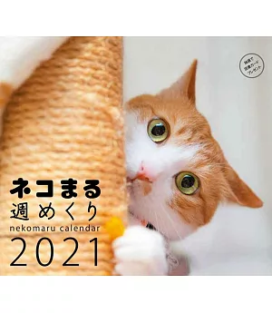 NEKO MARU可愛貓咪2021年週曆