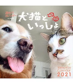 可愛犬貓2021年週曆