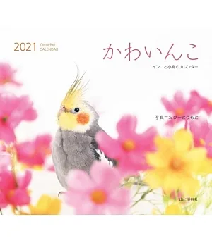 可愛鸚哥與小鳥2021年月曆
