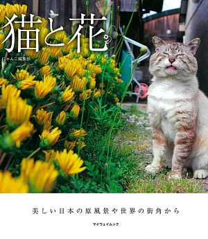 貓咪與花卉可愛生活寫真手冊