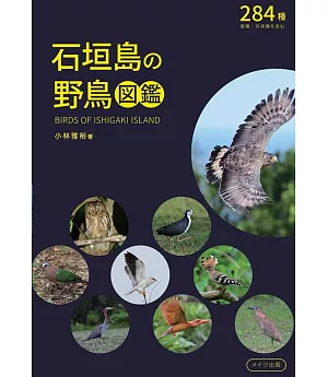 石垣島の野鳥図鑑