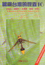 認識台灣的昆蟲(16)胡蜂科.蜾嬴科(虎頭蜂.馬蜂.蜾嬴)
