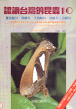 認識台灣的昆蟲(10):籮紋蛾科、帶蛾科、大鉤蛾科、鉤蛾科、舟蛾科