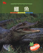 親親自然月刊－鱷魚