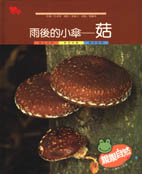 親親自然月刊－雨後的小傘－菇