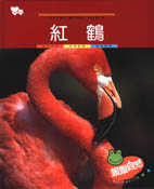 親親自然月刊－紅鶴