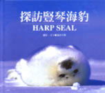 探訪豎琴海豹 Harp Seal