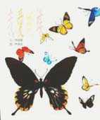 我愛蝴蝶