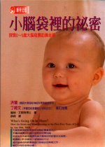 小腦袋裡的秘密：探索0～5歲大腦發展的黃金期