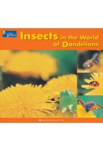 Insects in the World of Dandelions.