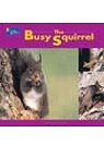 The Busy Squirrel