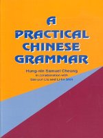 A Practical Chinese Grammar