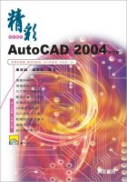 精彩AutoCAD 2004中文版