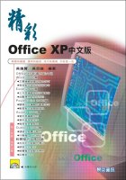精彩Office XP中文版