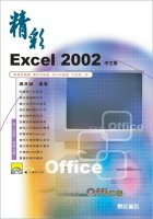 精彩Excel2002中文版